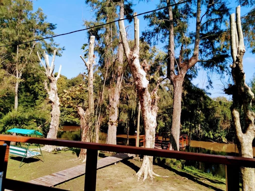 Navegar los arroyos